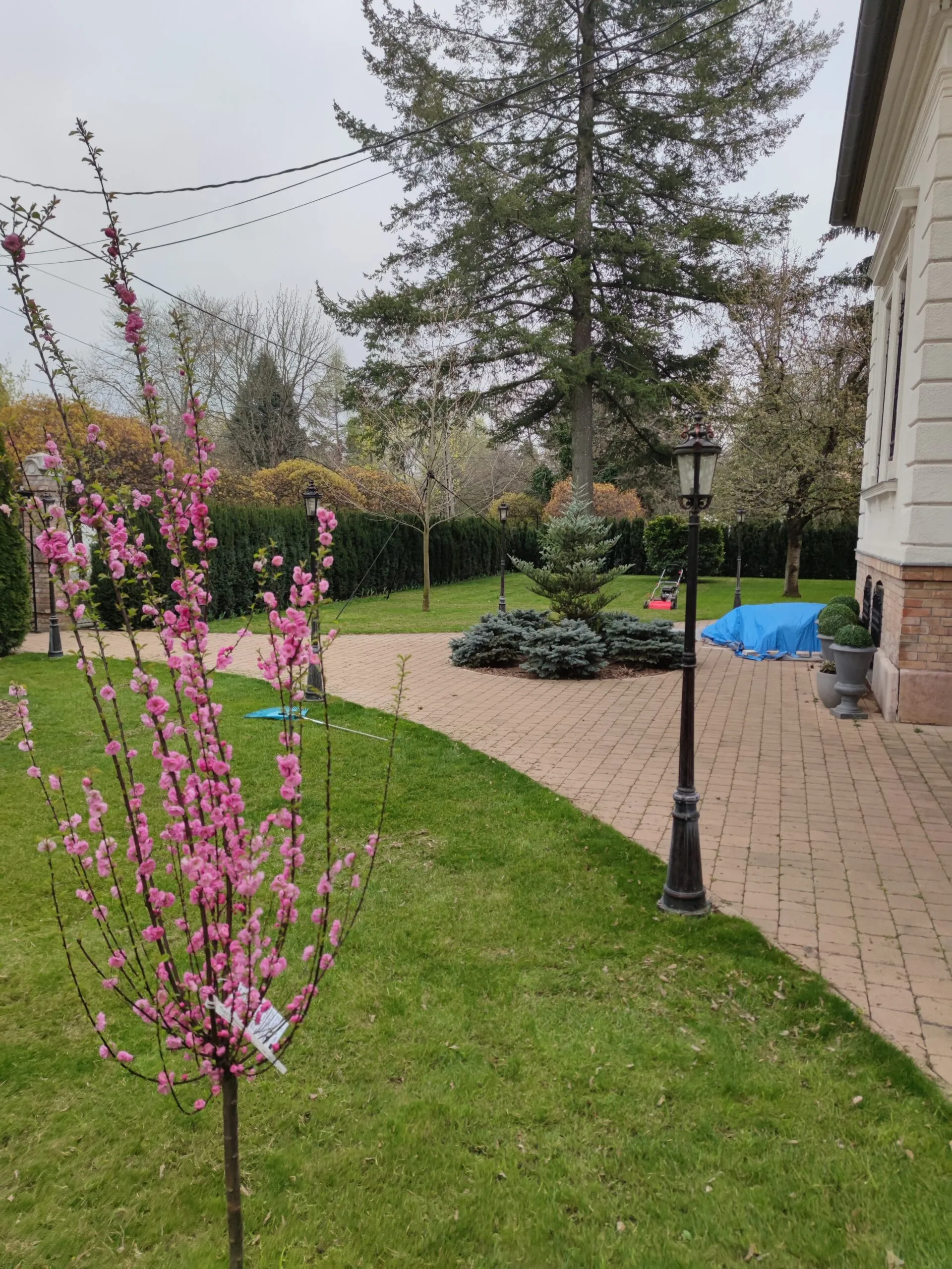compressed_2560_1680804514628-scaled.jpg